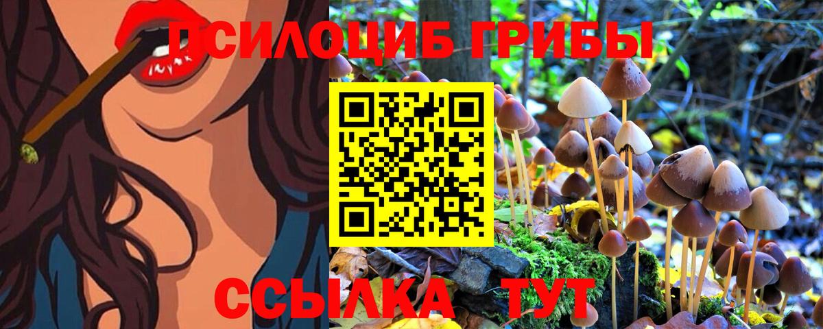 продажа наркотиков  Вход с VPN  Коряжма  Галлюциногенные грибы ЛСД 